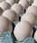 DUCK EGGS X 20